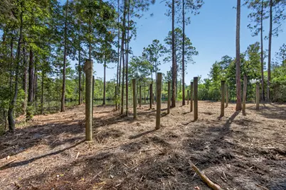 1.087 Acre Co Hwy 3280, Freeport, FL 32439 - Photo 9