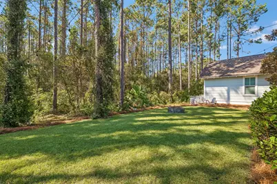 417 Medley Street, Inlet Beach, FL 32461 - Photo 45