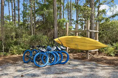 108 Woodward Drive, Santa Rosa Beach, FL 32459 - Photo 43