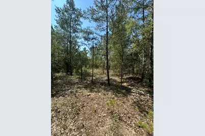 Lot 4 & 5 E Buckeye Street, Defuniak Springs, FL 32433 - Photo 1