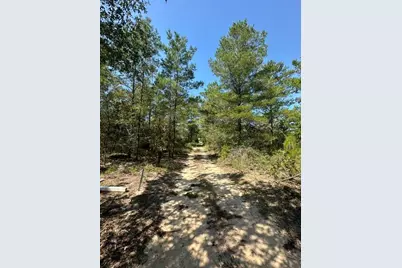 Lot 4 & 5 E Buckeye Street, Defuniak Springs, FL 32433 - Photo 5