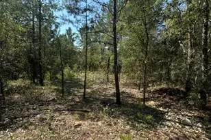 Lot 5 E Buckeye St, Defuniak Springs, FL 32433 - Photo 1