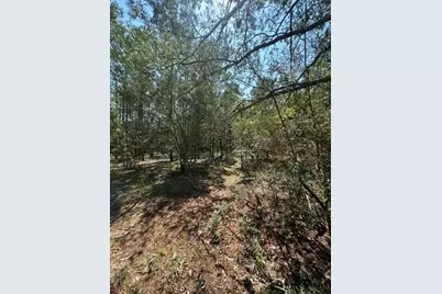 Lot 5 E Buckeye Street, Defuniak Springs, FL 32433 - Photo 3