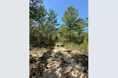 Lot 5 E Buckeye Street, Defuniak Springs, FL 32433 - Photo 5
