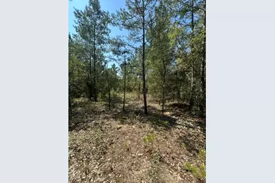 Lot 4 E Buckeye Street, Defuniak Springs, FL 32433 - Photo 1