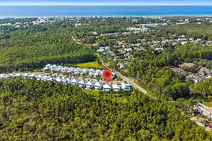 19 Sugar Sands Dr, Santa Rosa Beach, FL 32459 - Photo 67