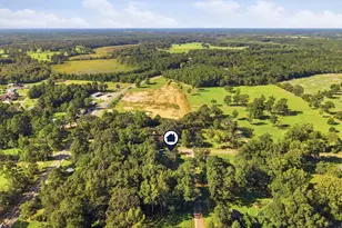 348 Eucalyptus Ave, Florala, AL 36442 - Photo 29