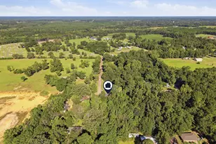 348 Eucalyptus Ave, Florala, AL 36442 - Photo 27