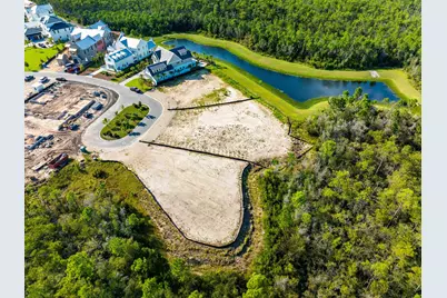 Lot 201 Sundew Place, Watersound, FL 32461 - Photo 7