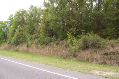 7Ac Pine Forest Road, Pensacola, FL 32526 - Photo 7