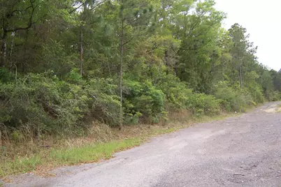 7Ac Pine Forest Road, Pensacola, FL 32526 - Photo 5