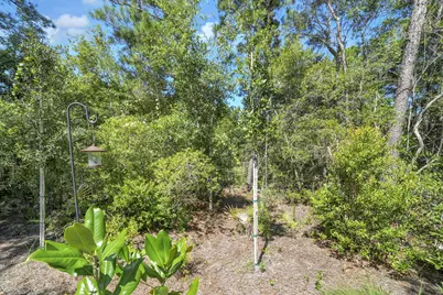 41 Riker Avenue, Santa Rosa Beach, FL 32459 - Photo 63