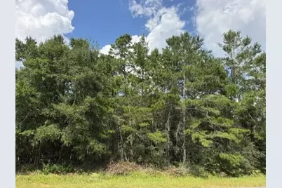 Lot 8 Bushton Street, Navarre, FL 32566 - Photo 15