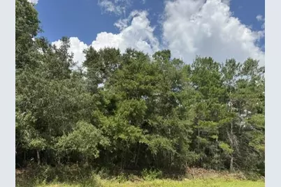 Lot 8 Bushton Street, Navarre, FL 32566 - Photo 1
