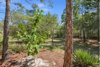 313 Morgans Trail, Santa Rosa Beach, FL 32459 - Photo 43