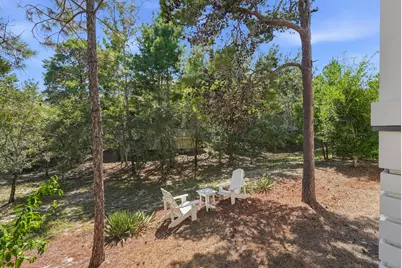 313 Morgans Trail, Santa Rosa Beach, FL 32459 - Photo 41