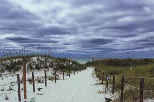313 Morgans Trail, Santa Rosa Beach, FL 32459 - Photo 15