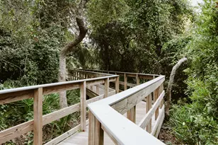 313 Morgans Trail, Santa Rosa Beach, FL 32459 - Photo 67