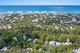163 Hammock Ln, Santa Rosa Beach, FL 32459 - Photo 49