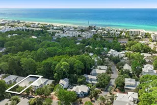 297 Cassine Garden Cir, Santa Rosa Beach, FL 32459 - Photo 69