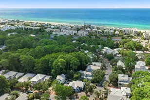 297 Cassine Garden Cir, Santa Rosa Beach, FL 32459 - Photo 81