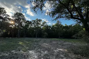 2 24 Acres Jv Woolley Rd Rd, Crestview, FL 32539 - Photo 1