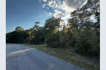 2.24 Acres Jv Woolley Rd Road, Crestview, FL 32539 - Photo 5