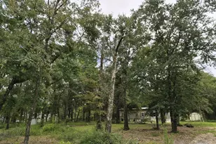 [Address not provided], Defuniak Springs, FL 32433 - Photo 3