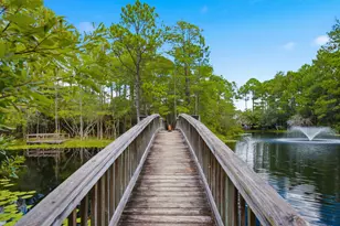 31 Sweet Bay Dr, Santa Rosa Beach, FL 32459 - Photo 47