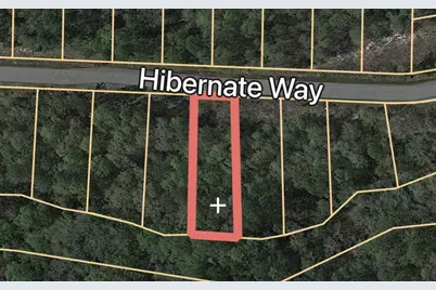 Lot 24 Hibernate Way, Freeport, FL 32439 - Photo 3