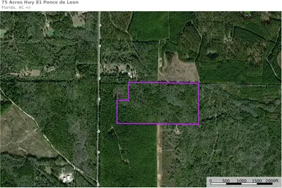 75 Acres N Florida 81, Ponce de Leon, FL 32455 - Photo 1