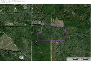 75 Acres N Florida 81, Ponce de Leon, FL 32455 - Photo 1