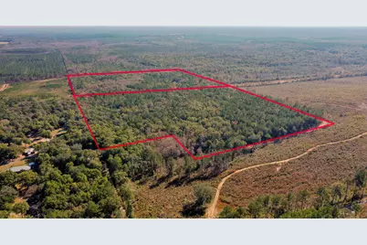 75 Acres N Florida 81, Ponce de Leon, FL 32455 - Photo 3