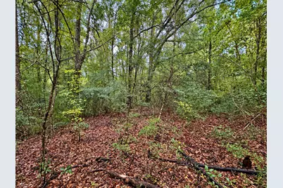 5.4 Acres Sumac Road, Westville, FL 32464 - Photo 5