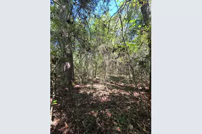 Lot 1 & 2 Antioch Road, Crestview, FL 32536 - Photo 9