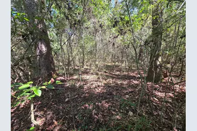 Lot 1 & 2 Antioch Road, Crestview, FL 32536 - Photo 7
