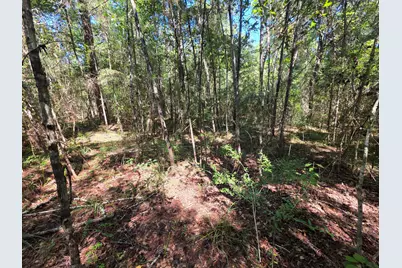 Lot 1 & 2 Antioch Road, Crestview, FL 32536 - Photo 3