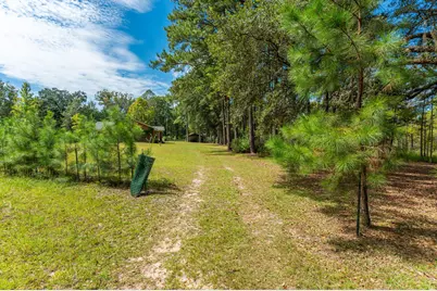 727 Wrights Creek Road, Caryville, FL 32427 - Photo 51