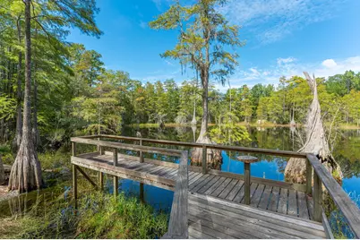 727 Wrights Creek Road, Caryville, FL 32427 - Photo 5