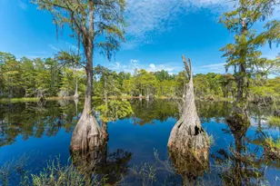 727 Wrights Creek Rd, Caryville, FL 32427 - Photo 43