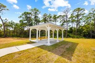 91 Milestone Dr, Inlet Beach, FL 32461 - Photo 49