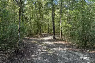 5968 W Co Hwy 147, Laurel Hill, FL 32567 - Photo 69