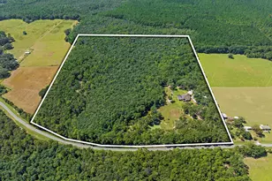 5968 W Co Hwy 147, Laurel Hill, FL 32567 - Photo 97
