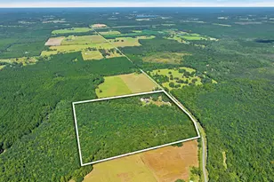 5968 W Co Hwy 147, Laurel Hill, FL 32567 - Photo 99