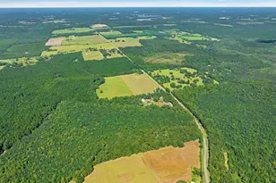 5968 W Co Hwy 147, Laurel Hill, FL 32567 - Photo 101