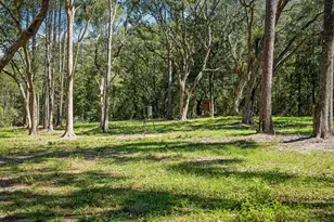5968 W Co Hwy 147, Laurel Hill, FL 32567 - Photo 65