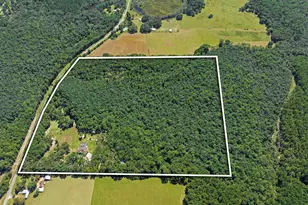 5968 W Co Hwy 147, Laurel Hill, FL 32567 - Photo 79