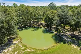 5968 W Co Hwy 147, Laurel Hill, FL 32567 - Photo 63