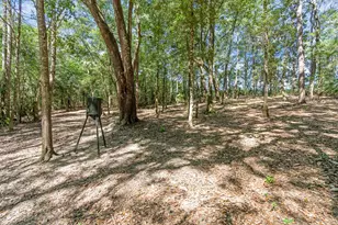 5968 W Co Hwy 147, Laurel Hill, FL 32567 - Photo 59