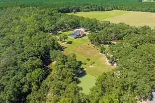 5968 W Co Hwy 147, Laurel Hill, FL 32567 - Photo 7